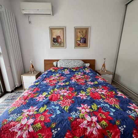 Kazanlak Large Guest House Apartment Near The Center With Full Kitchen & Dining Room, King Beds, Garden Patio, Free Parking & Self Check-In Exteriör bild